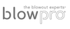 Blowpro